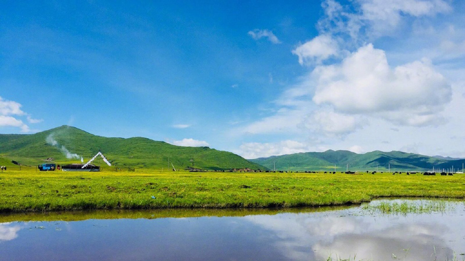 网红商城